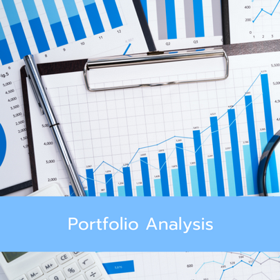 portfolio analysis portfolio management